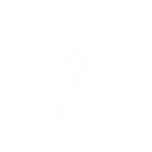 Profito Team