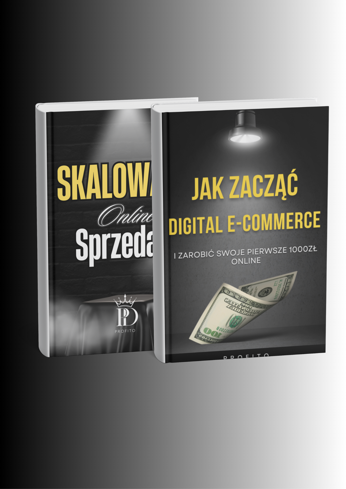 Zestaw: Jak zarobić swoje pierwsze 1000zł online + Skalowanie Sprzedaży
